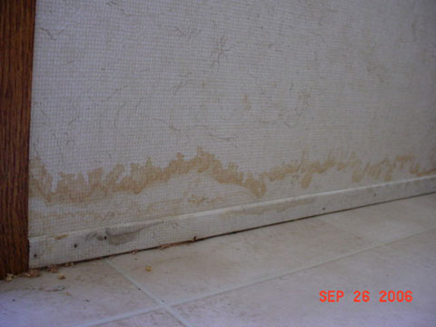 Water Damage to wallboard